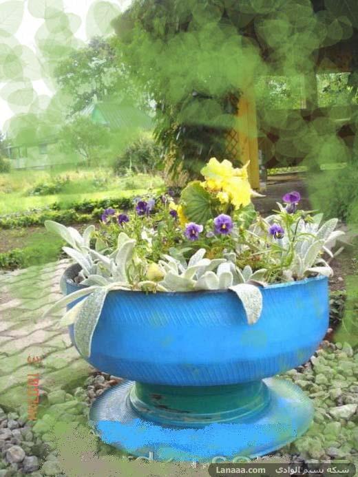 Description: http://photo.mrchat.net/pictures/eaf054d56a3194a25627896441f6866f.jpg