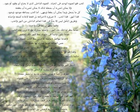 http://www.alaalsayid.com/images/articles/Love&Light-s.jpg